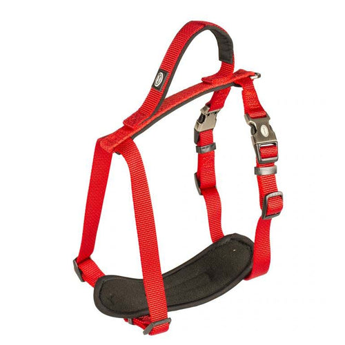 EXPLOR CLERANCE North oprsnica, najlon, XXL 80-100cm/25mm, crvena
