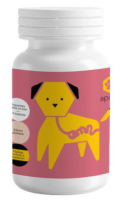 APIPET Gastro, kapsule za pse, za regulaciju probave