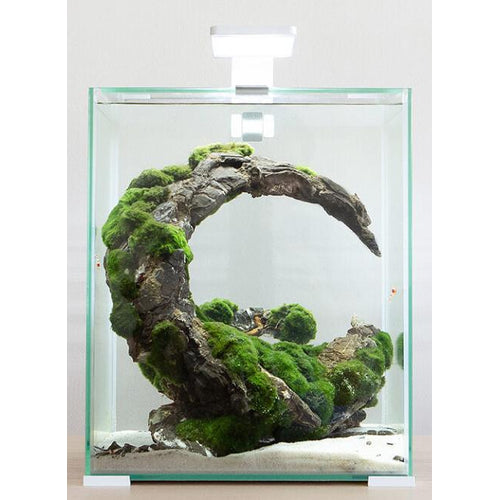AQUAEL Akvarijski set Shrimp Smart Day&Night, bijeli