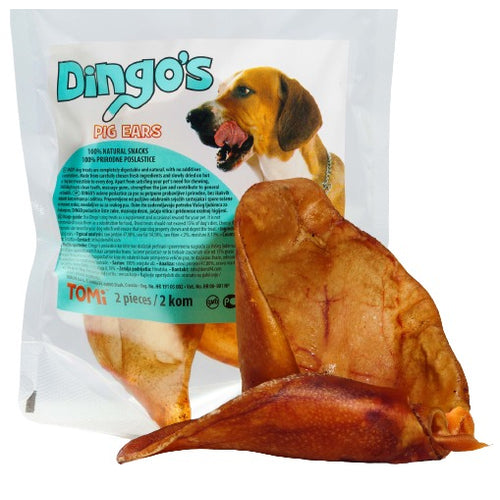 DINGO's Pig Ear, svinjske usi 70g, 2 kom