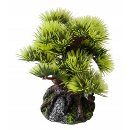 EBI Aqua D'ella Akvarijski ukras Bonsai Bor 1