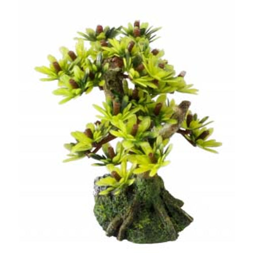 EBI Aqua D'ella Akvarijski ukras Bonsai Bor 2