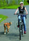 FLAMINGO Biciklistička vodilica za pse Doggy Guide