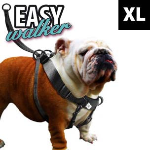 Flamingo easy walker new arrivals