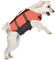 FLAMINGO Swim Life Jacket XL Sigurnosni pojas za vodu 45cm / +45kg