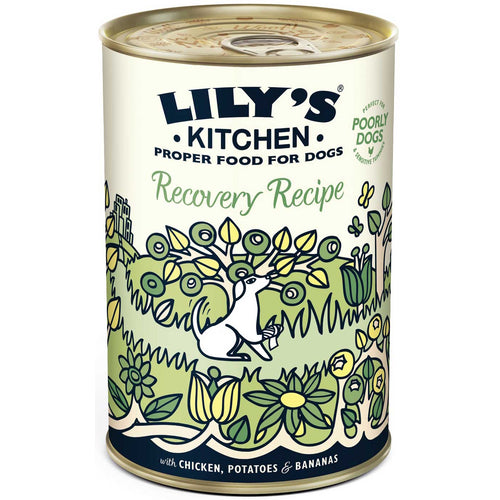 LILY'S KITCHEN Recovery Recipe, piletina s krumpirom, bez zitarica, 400g