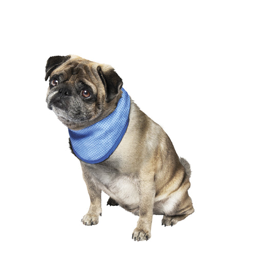NOBBY Ice Bandana, rashladna marama za pse