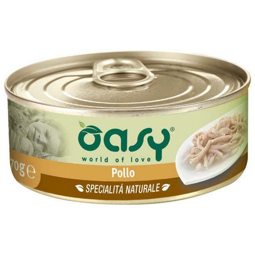 OASY Piletina, fileti u umaku