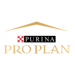 Pro Plan