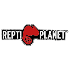 Repti Planet