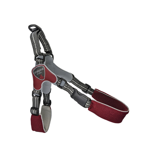 CORALPINA Ham Fiames 8, 60-72 cm/10-18 kg, bordo