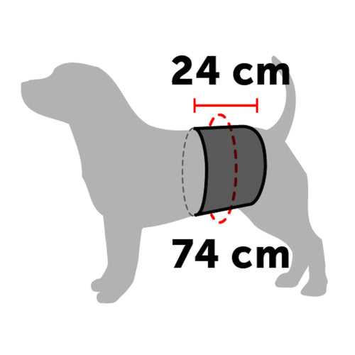 FLAMINGO Pants Male King Black, perive zaštitne gaće za mužjake