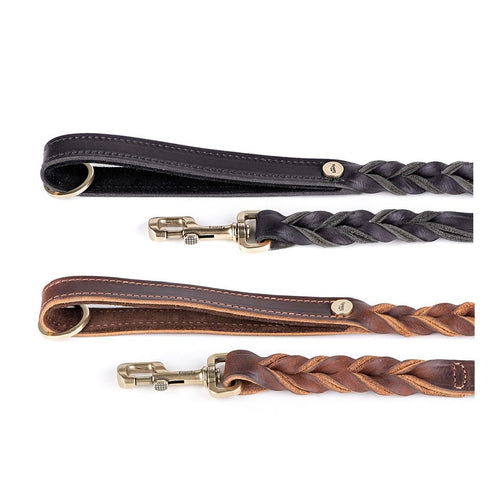 MYFAMILY CLERANCE Vodilica za pse Ascot, kozna, 2,2cm/110cm