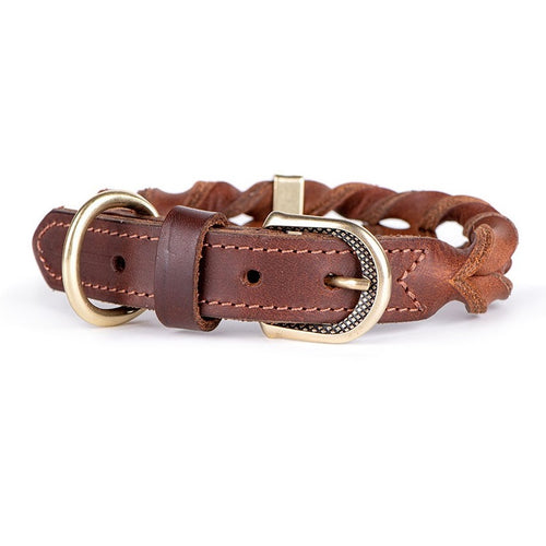 MYFAMILY CLERANCE Ogrlica za pse Ascot, kozna, 1,6cm/27-31cm, smeđa