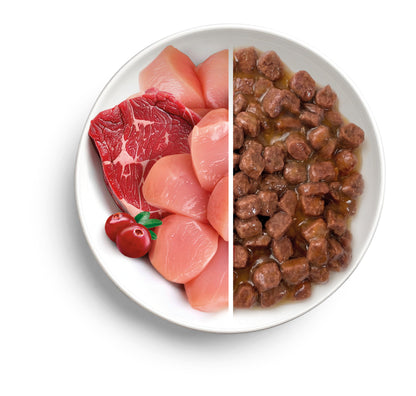PROOF, Piletina s govedinom, u umaku od brusnice, za odrasle pse, 100g