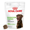 ROYAL CANIN Digestion Chews, dodatak prehrani za pse, 160g/40kom