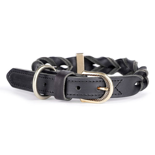 MYFAMILY CLERANCE Ogrlica za pse Ascot, kozna, 2.8cm/42-50cm, crna