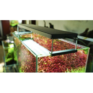 CHIHIROS WRGB II LED, svjetlo za akvarije s biljkama