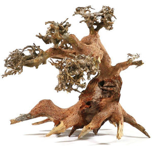 AQUADECO Aqua Bonsai S, Bonsai drvo za akvarij, 15-20cm