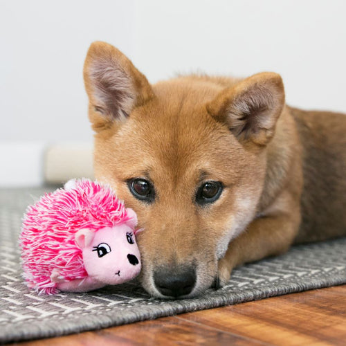 KONG Igračka za štence Puppy Comfort Hedgehug, plava ili roza