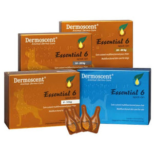 DERMOSCENT Essential 6 Spot on za pse, za regeneraciju oštećene kože