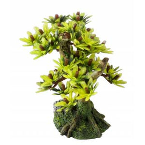 EBI Aqua D'ella Akvarijski ukras Bonsai Bor 2, 15cm