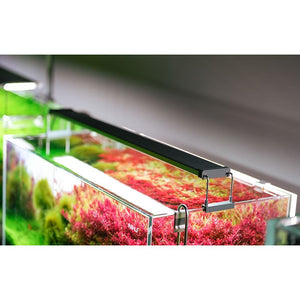 CHIHIROS Lampa akvarij B30 s regulatorom svjetline 30-50cm 21W 1292lm