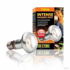 EXO TERRA Terarijska žarulja Intense Basking Heat Lamp