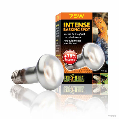 EXO TERRA Terarijska žarulja Intense Basking Heat Lamp