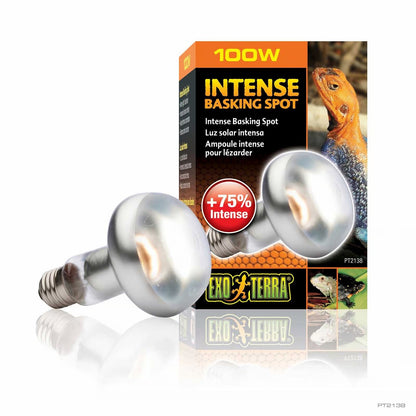 EXO TERRA Terarijska žarulja Intense Basking Heat Lamp