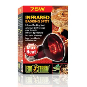 EXO TERRA Terarijska žarulja Heat Glo infrared Lamp 75W-V