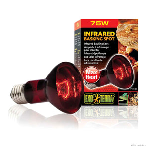 EXO TERRA Terarijska žarulja Heat Glo infrared Lamp 75W