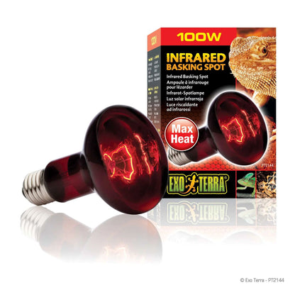 EXO TERRA Terarijska infracrvena žarulja Heat Glo infrared