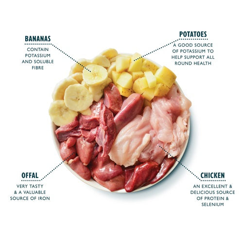 LILY'S KITCHEN Recovery Recipe, piletina s krumpirom, bez žitarica, 400g