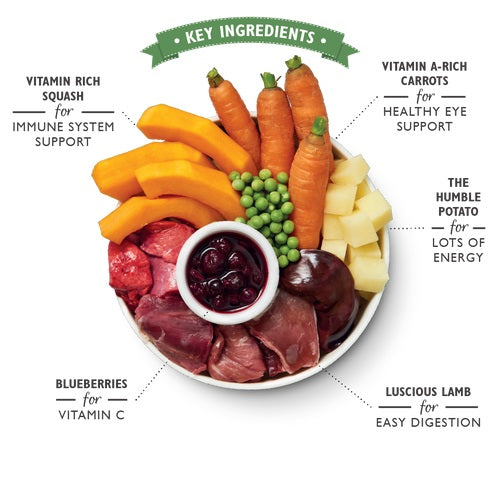 LILY'S KITCHEN Lamb Hotpot, janjetina s povrćem i borovnicama, bez žitarica,150g