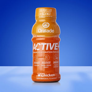 ORALADE Active Chicken tekućina izotonična za rehidrataciju pasa, 250ml
