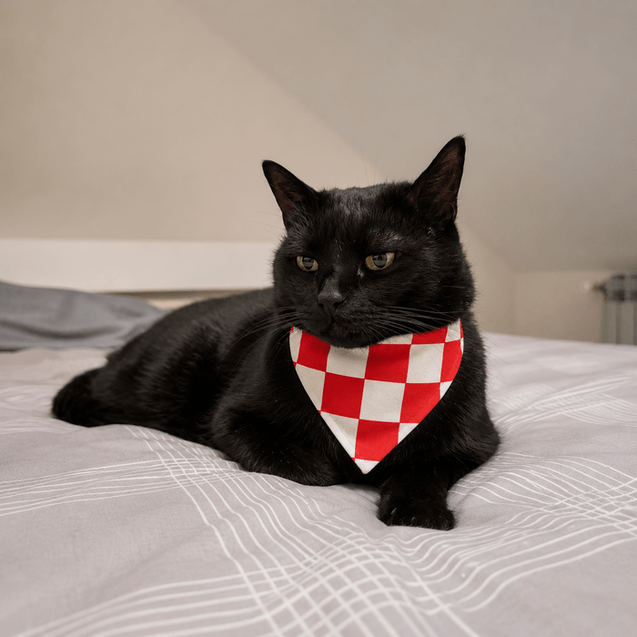 Mimi