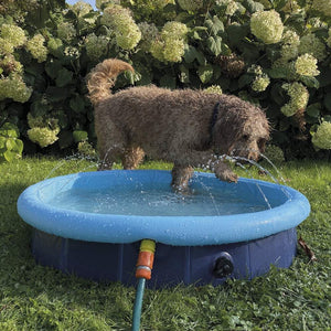 NOBBY Splash, bazen 2u1