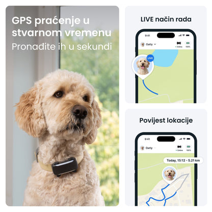 TRACTIVE DOG 6 XL, GPS lokator za pse i monitor zdravlja, crni, iznad 20 kg