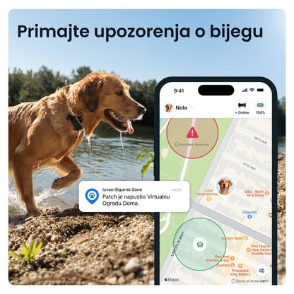TRACTIVE DOG 6 XL, GPS lokator za pse i monitor zdravlja, crni, iznad 20 kg