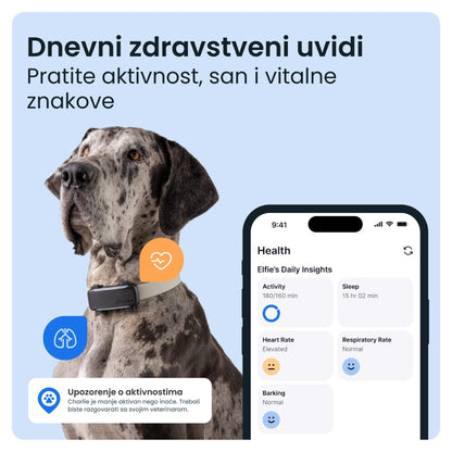 TRACTIVE DOG 6 XL, GPS lokator za pse i monitor zdravlja, crni, iznad 20 kg