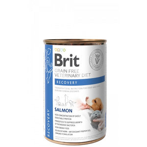 BRIT GF VD Dog + Cat Recovery, za oporavak, konzerva 400g