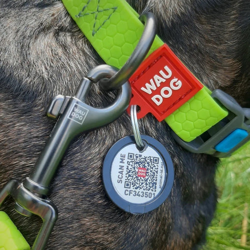 WAUDOG Ogrlica za pse Smart QR, vodootporna, s plastičnom kopčom