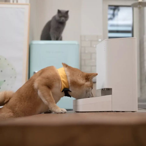 XIAOMI Smart Pet Hranilica za kućne ljubimce, kapacitet 1,8 kg