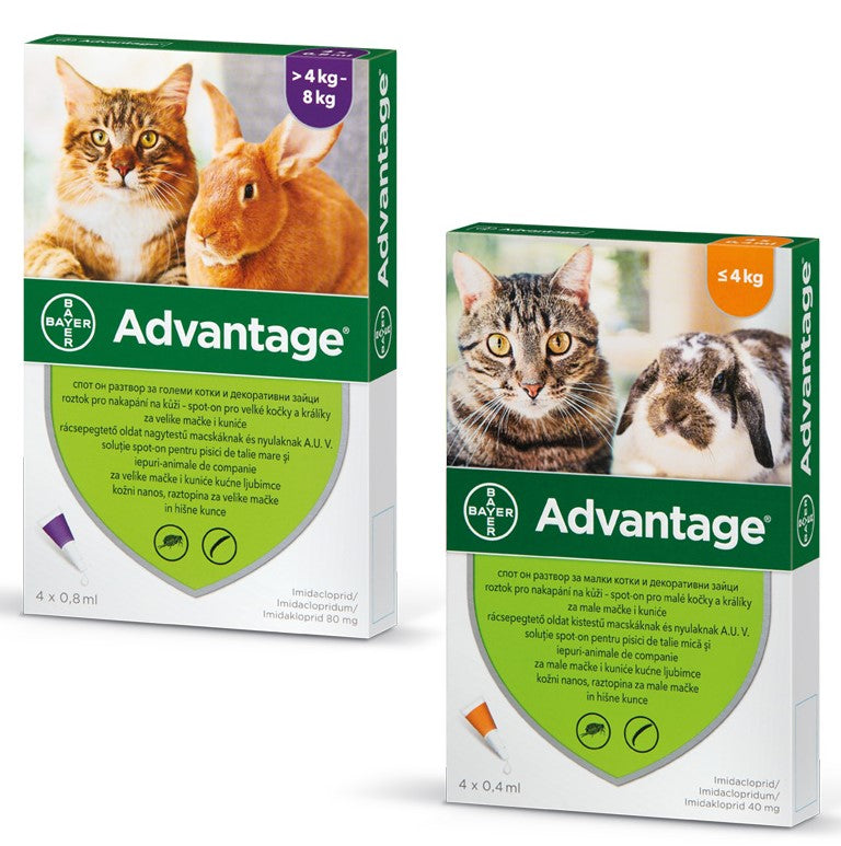 ADVANTAGE(Elanco) Ampula SpotOn protiv buha za macke i kunice 1kom