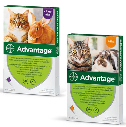 ADVANTAGE(Elanco) Ampula SpotOn protiv buha za macke i kunice 1kom
