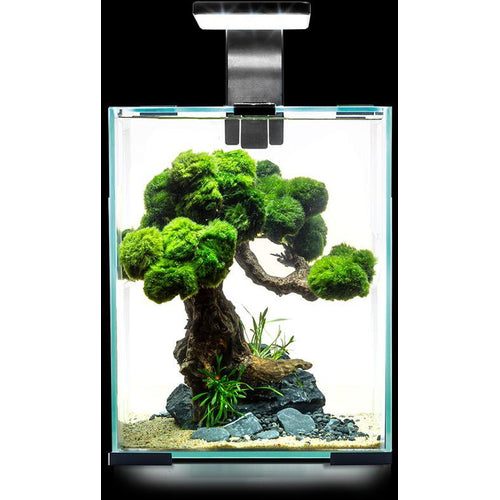 AQUAEL Akvarijski set Shrimp Smart Day&Night, crni