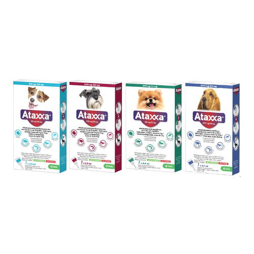 ATAXXA (Krka) ampula SpotOn za pse, 1kom