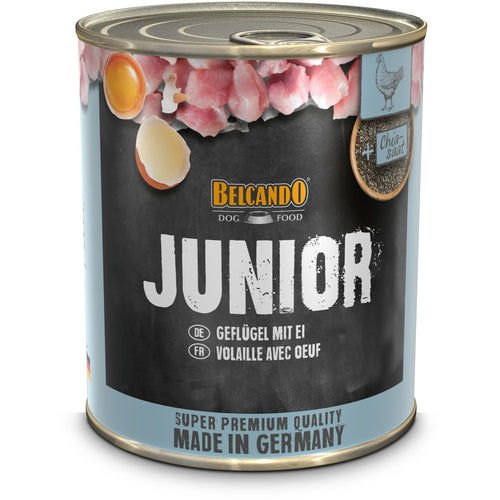 BELCANDO JUNIOR Perad s jajima