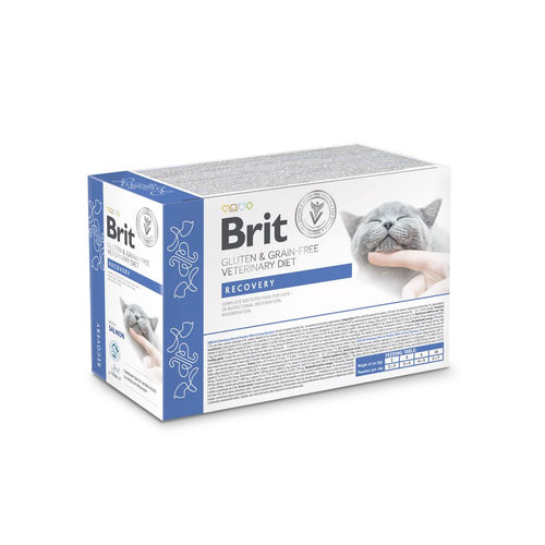 BRIT GF VD Cat Recovery, kod oporavka i smanjenog apetita, fileti u umaku 12x85g
